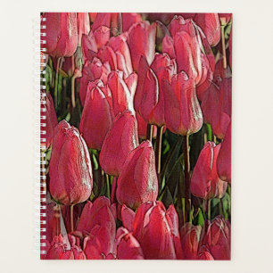 Hübsch-rosa Tulips Planer