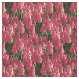 Hübsch-rosa Tulips Stoff
