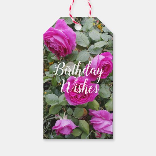 Hübsch Rosa Vintage Rose Blume Geburtstag Geschenkanhänger (Vorderseite)