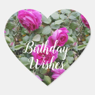 Hübsch Rosa Vintage Rose Blume Geburtstagskarte M Herz-Aufkleber