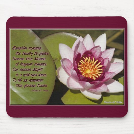 Hübsch rosa Wasserlilie Floating on Lily Pad Foto Mousepad (Vorne)