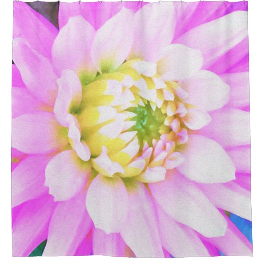Hübsch rosa, weiß und gelb Kaktus Dahlia Macro Duschvorhang (Vorderseite)