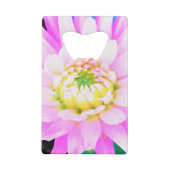 Hübsch rosa, weiß und gelb Kaktus Dahlia Macro Geldbeutel Flaschenöffner (Rückseite)