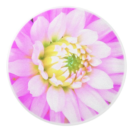 Hübsch rosa, weiß und gelb Kaktus Dahlia Macro Keramikknauf (Vorderseite)
