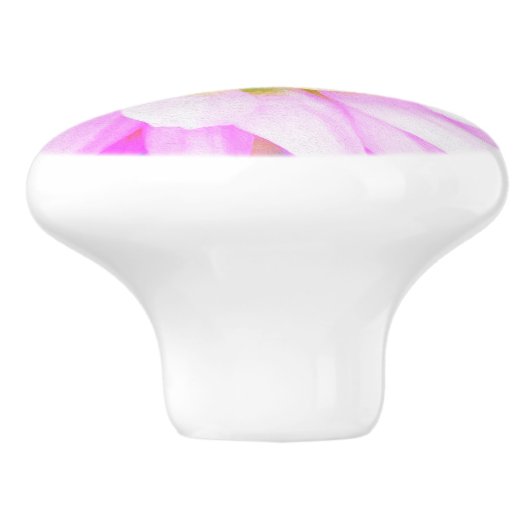 Hübsch rosa, weiß und gelb Kaktus Dahlia Macro Keramikknauf (Seitenansicht)
