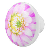 Hübsch rosa, weiß und gelb Kaktus Dahlia Macro Keramikknauf (Rechts)