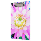 Hübsch rosa, weiß und gelb Kaktus Dahlia Macro Klemmbrett (Links)