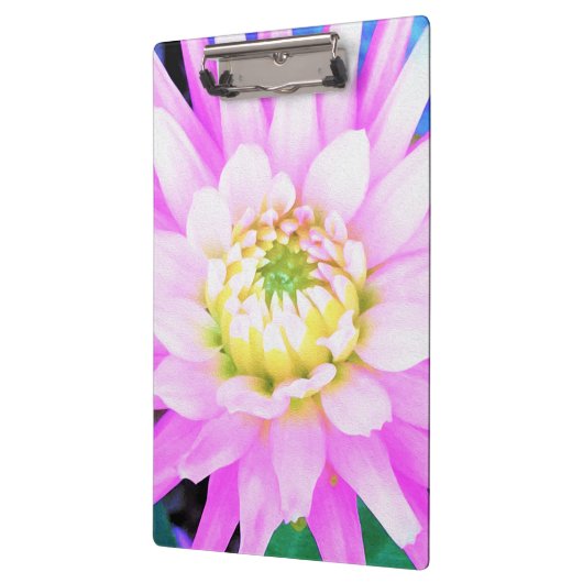 Hübsch rosa, weiß und gelb Kaktus Dahlia Macro Klemmbrett (Links)