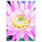 Hübsch rosa, weiß und gelb Kaktus Dahlia Macro Klemmbrett (Rückseite)