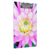 Hübsch rosa, weiß und gelb Kaktus Dahlia Macro Klemmbrett (Rechts)