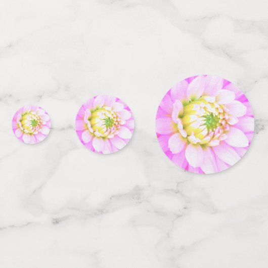 Hübsch rosa, weiß und gelb Kaktus Dahlia Macro Konfetti (Rückseiten)