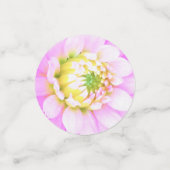 Hübsch rosa, weiß und gelb Kaktus Dahlia Macro Konfetti (Klein Vorderseite)