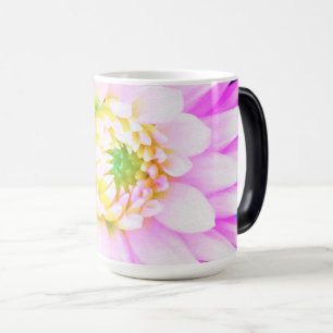 Hübsch rosa, weiß und gelb Kaktus Dahlia Macro Verwandlungstasse