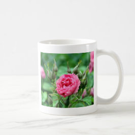 hübsch-rosa-wilde Rose Knospen und Blume Kaffeetasse
