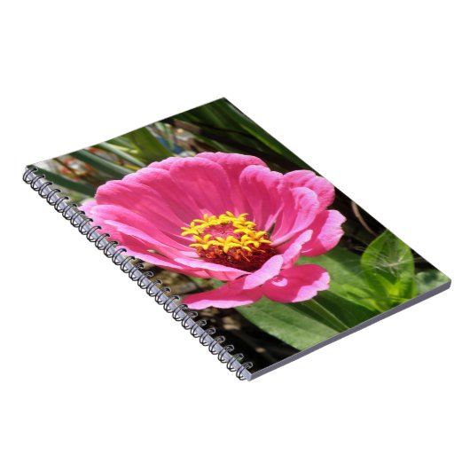 Hübsch rosa Zinnia-Notebook Notizblock (Rechte Seite)