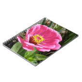 Hübsch rosa Zinnia-Notebook Notizblock (Linke Seite)