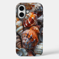Hübsch Seashells
