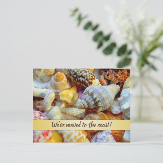 Hübsch Seashells Coastal - Ankündigung einer neuen Postkarte (Stehend Vorderseite)