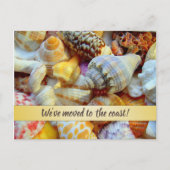 Hübsch Seashells Coastal - Ankündigung einer neuen Postkarte (Vorderseite)