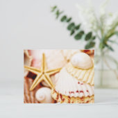 Hübsch Seashells Postkarte (Stehend Vorderseite)