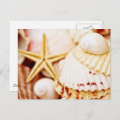 Hübsch Seashells Postkarte (Vorne/Hinten)