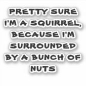 HÜBSCH SICHER, ICH BIN EIN SCHÜLER AUFKLEBER (Vorderseite)