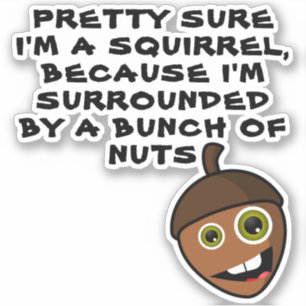 HÜBSCH SICHER, ICH BIN EIN SQUIRREL - Nuss Aufkleber