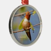 Hübsch sitzen: Male Rufous Hummingbird Silbernes Ornament (Rechts)