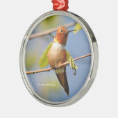 Hübsch sitzen: Male Rufous Hummingbird Silbernes Ornament (Links)