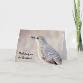 Hübsch Snow Bird Weihnachtskarte Karte (Vorderseite)