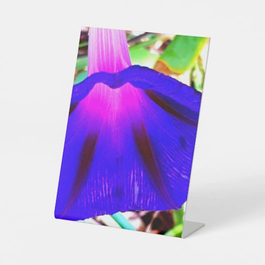 Hübsch Sockelschild (Vorderseite)