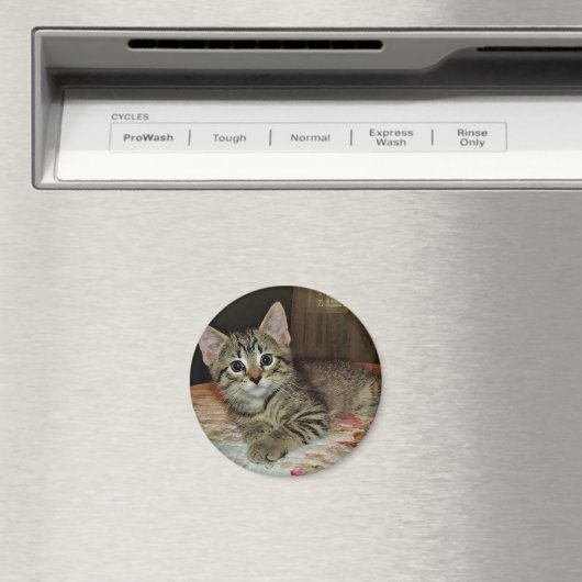 Hübsch Tiger Kitten Magnet (In Situ (Geschirrspüler))