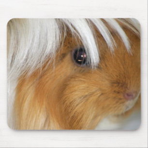 Hübsch, Tricolor, glatt, Meerschweinchen-Gesicht Mousepad
