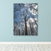 Hübsch Tulip Poplar Trees Cloudy Blue Sky Leinwanddruck (Insitu (Holzboden))