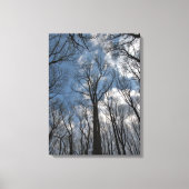 Hübsch Tulip Poplar Trees Cloudy Blue Sky Leinwanddruck (Vorderseite)