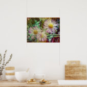 Hübsch und rosa poster (Küche)