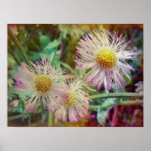 Hübsch und rosa poster (Vorne)