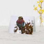 Hübsch und stolz karte (Gelbe Blume)