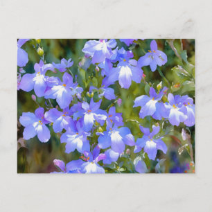 Hübsch Vergessen Sie mir nicht blaue Blumen Postka Postkarte