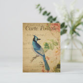Hübsch Vintag Blue Jay Postkarte (Stehend Vorderseite)