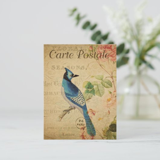 Hübsch Vintag Blue Jay Postkarte (Stehend Vorderseite)