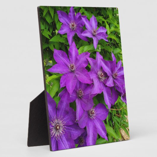 Hübsch-violette Blumen Fotoplatte (Seite)