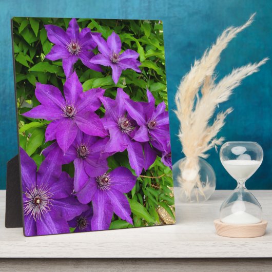 Hübsch-violette Blumen Fotoplatte (Seite)