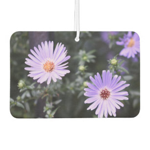 Hübsch-violette Blumen Original-Gartenfotografie Autolufterfrischer