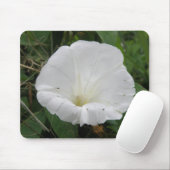 Hübsch Weiße Konvolvulus Blume Mousepad (Mit Mouse)