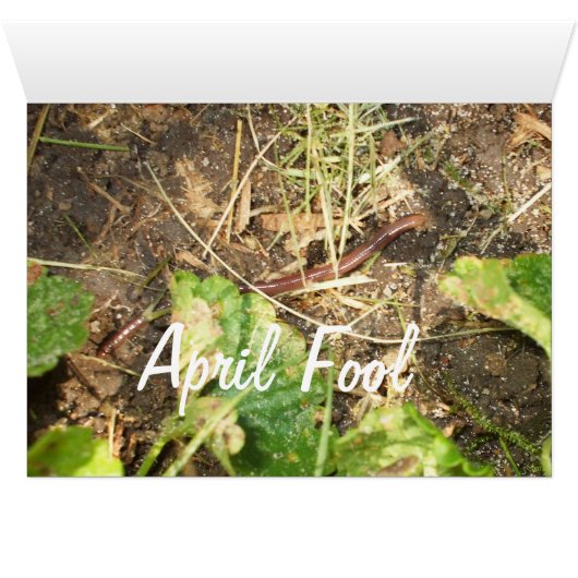 Hübsch White Lilac Bush (Innenansicht Horizontal (Unten))