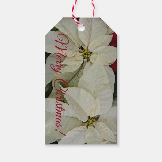 Hübsch White Poinsettias Holiday Geschenkanhänger (Vorderseite)