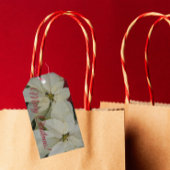 Hübsch White Poinsettias Holiday Geschenkanhänger