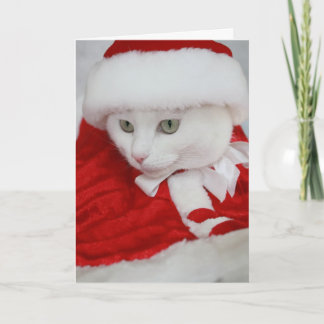 Hübsch White Santa Kitty Feiertagskarte