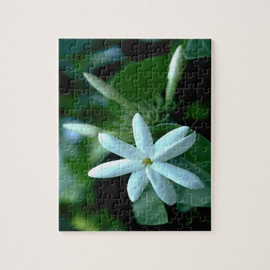 Hübsch White Stephanotis Blume Puzzle (Vertikal)